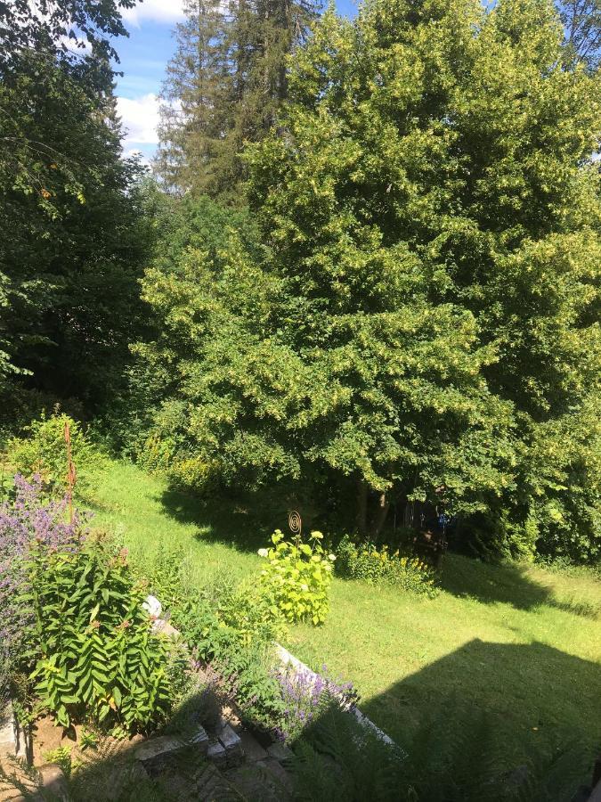 Ferienhaus Rotzinger Hinterzarten Extérieur photo