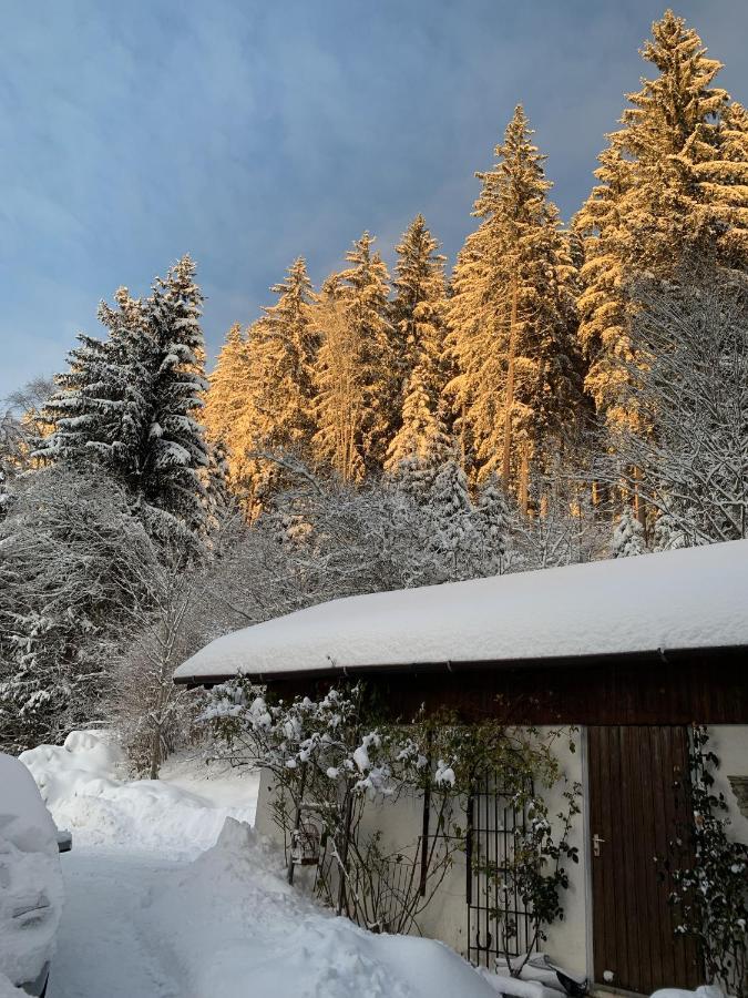Ferienhaus Rotzinger Hinterzarten Extérieur photo
